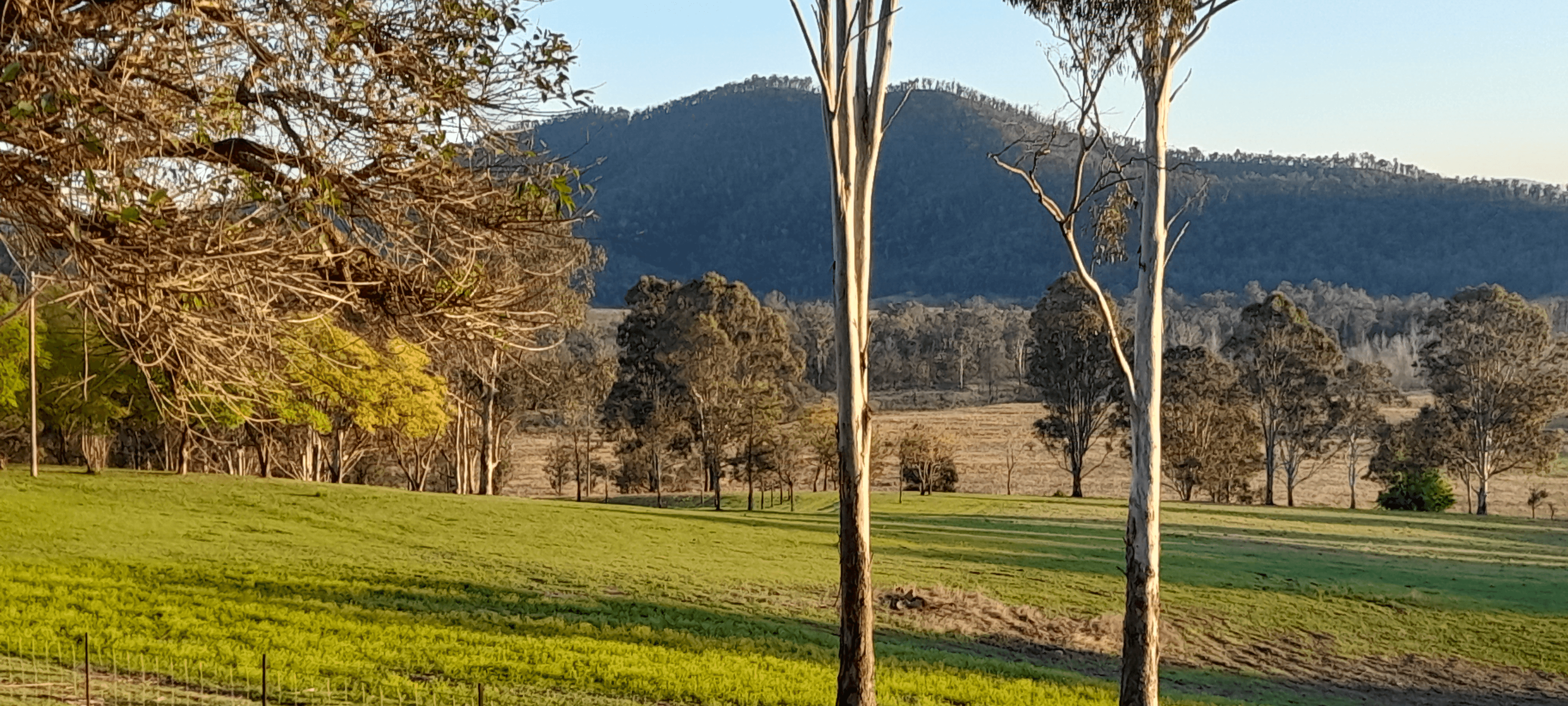 2221 Willi Willi Road, MOPARRABAH, NSW 2440