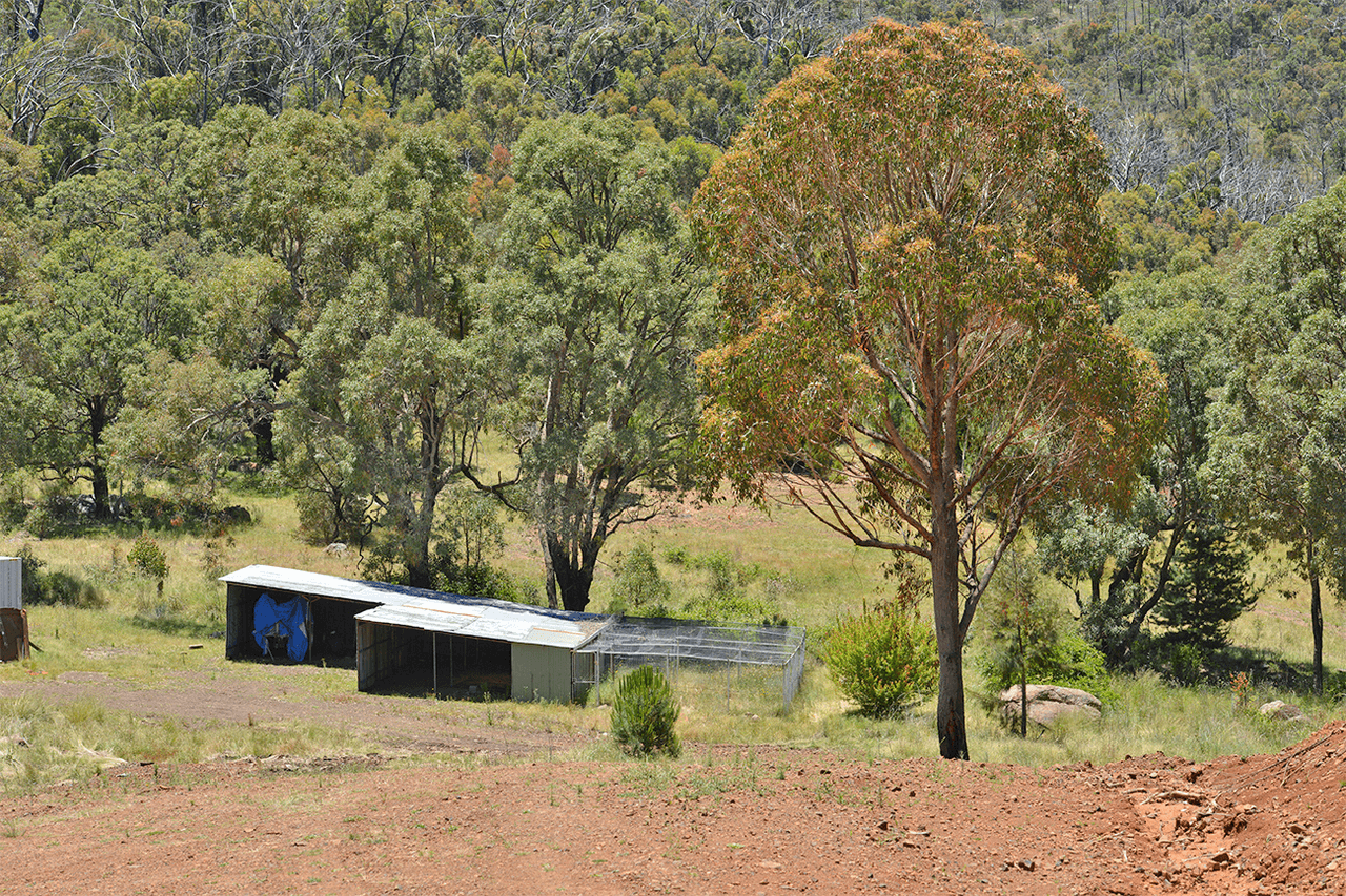 2210 Timor Road, COONABARABRAN, NSW 2357