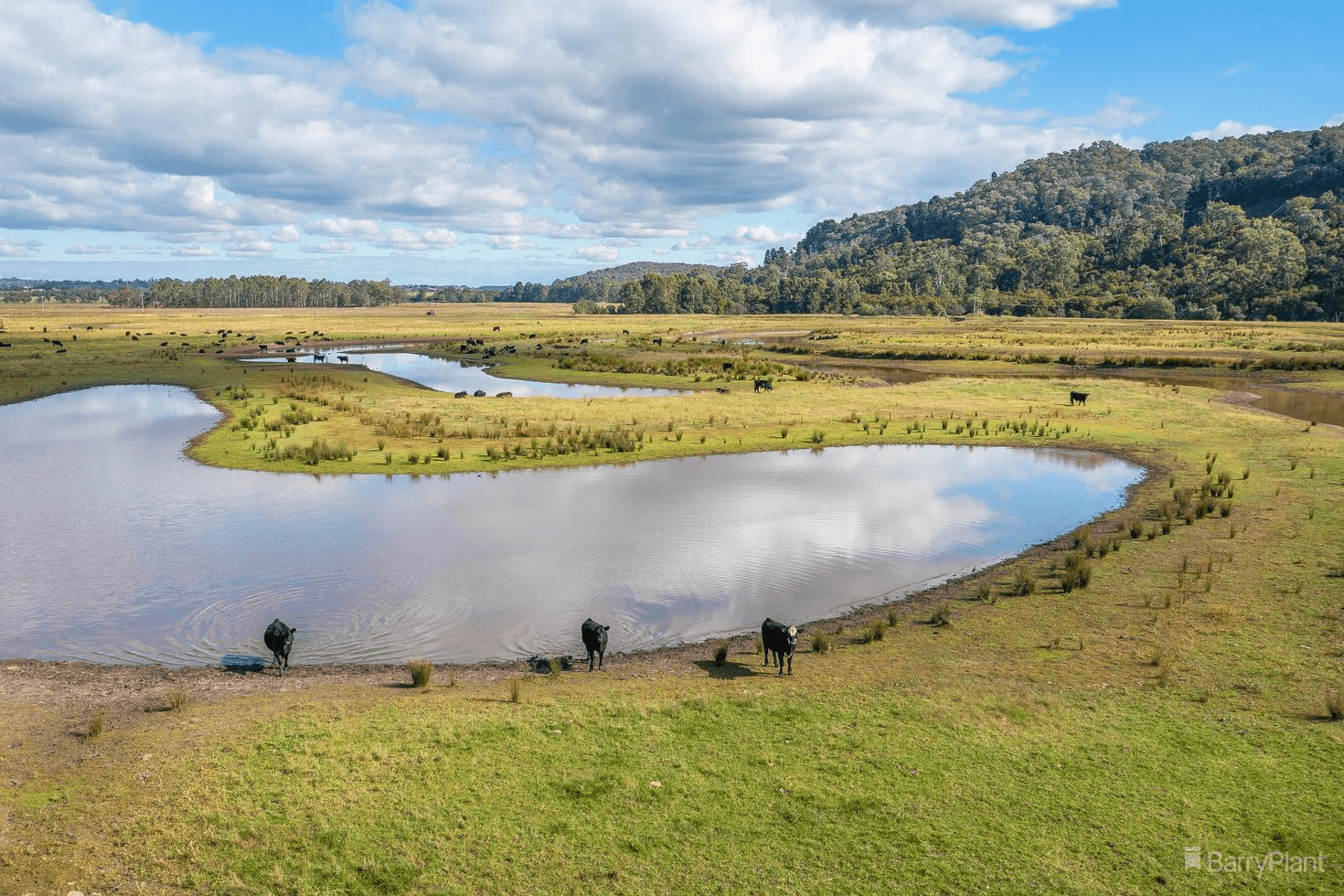 229-231 Victoria Road, YERING, VIC 3770