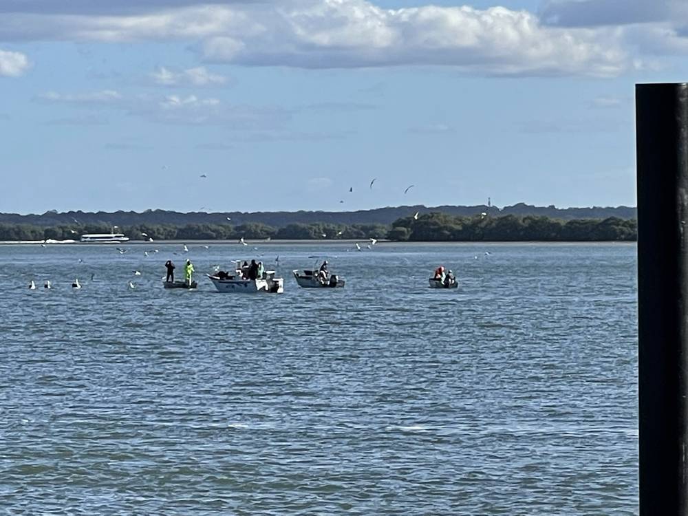 12 Canaipa Rd, Russell Island, QLD 4184