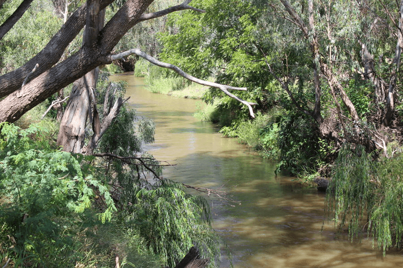 297 Carnarvon Highway, MOREE, NSW 2400