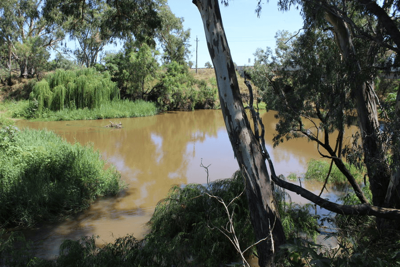 297 Carnarvon Highway, MOREE, NSW 2400