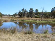 188 Moore Street, EMMAVILLE, NSW 2371