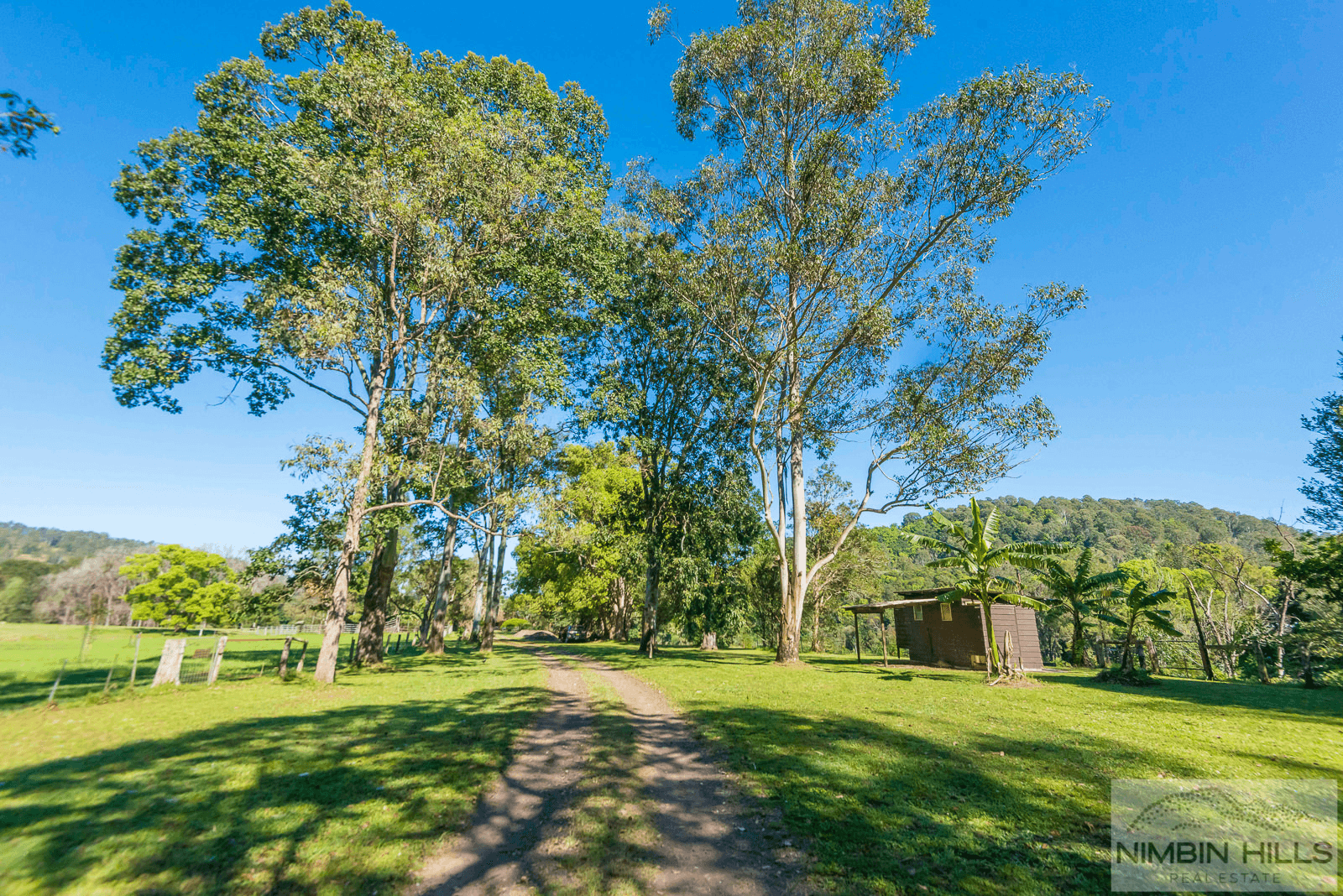 391 The Channon Road, THE CHANNON, NSW 2480