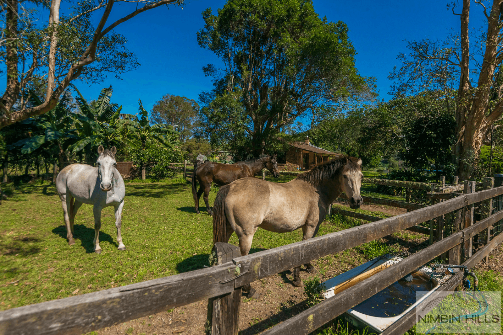 391 The Channon Road, THE CHANNON, NSW 2480