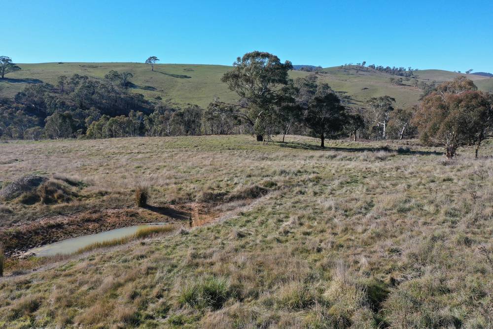 93 Bilton Street, Omeo, VIC 3898