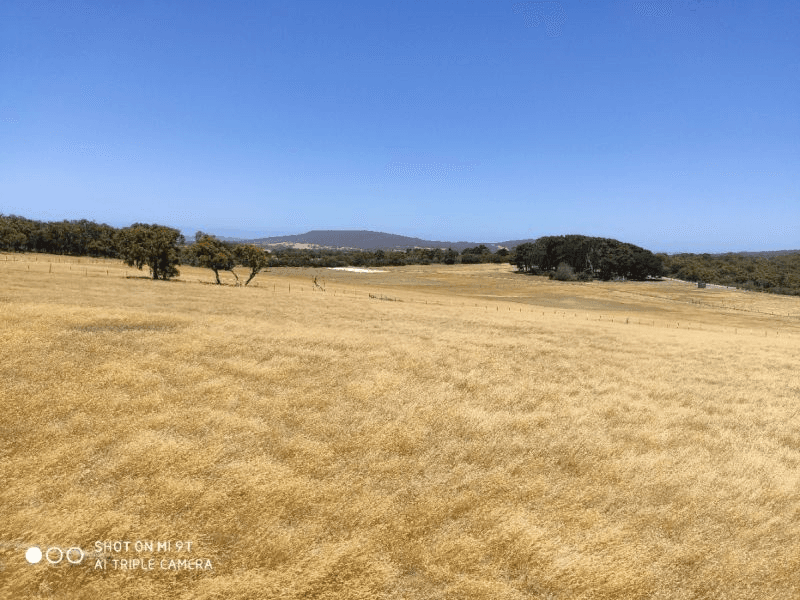 Lot 31 Two Peoples Bay Rd, Kalgan, WA 6330