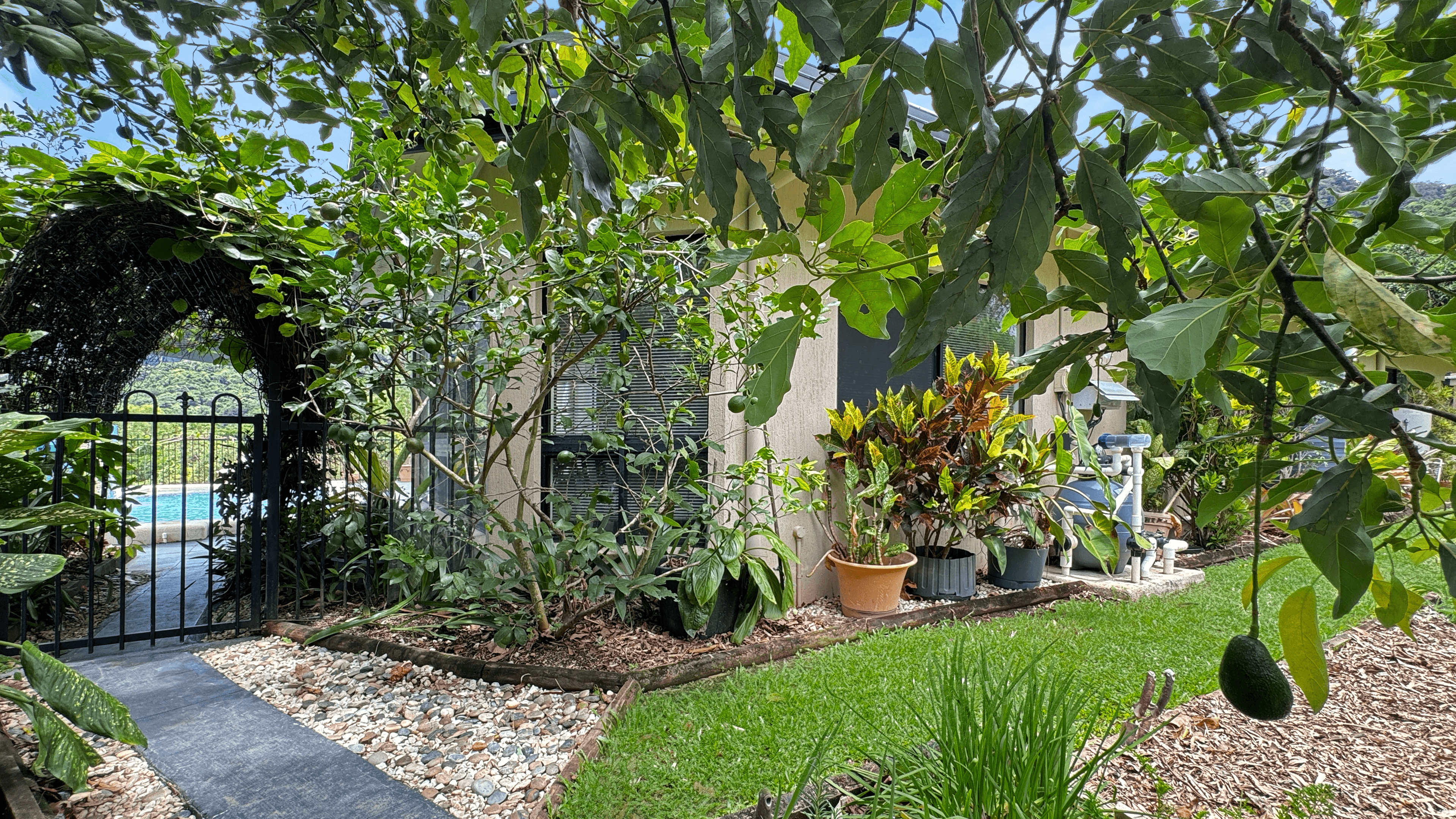 3 Mccoll Close, Redlynch, QLD 4870