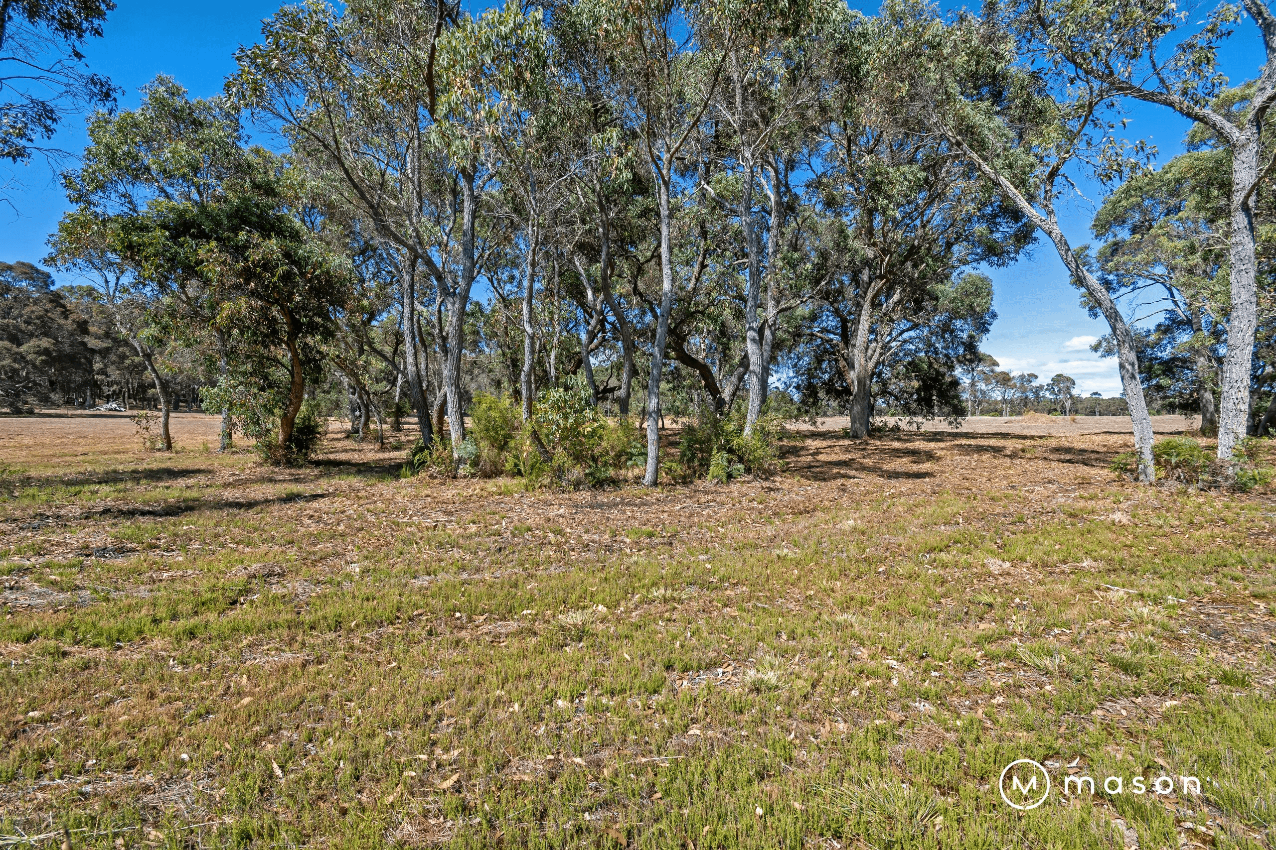 53 Old School Road, SCOTSDALE, WA 6333