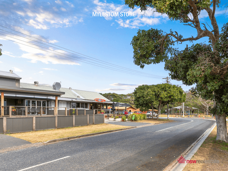 232 Mylestom Drive, REPTON, NSW 2454