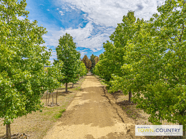 25 Mundays Lane, ARMIDALE, NSW 2350