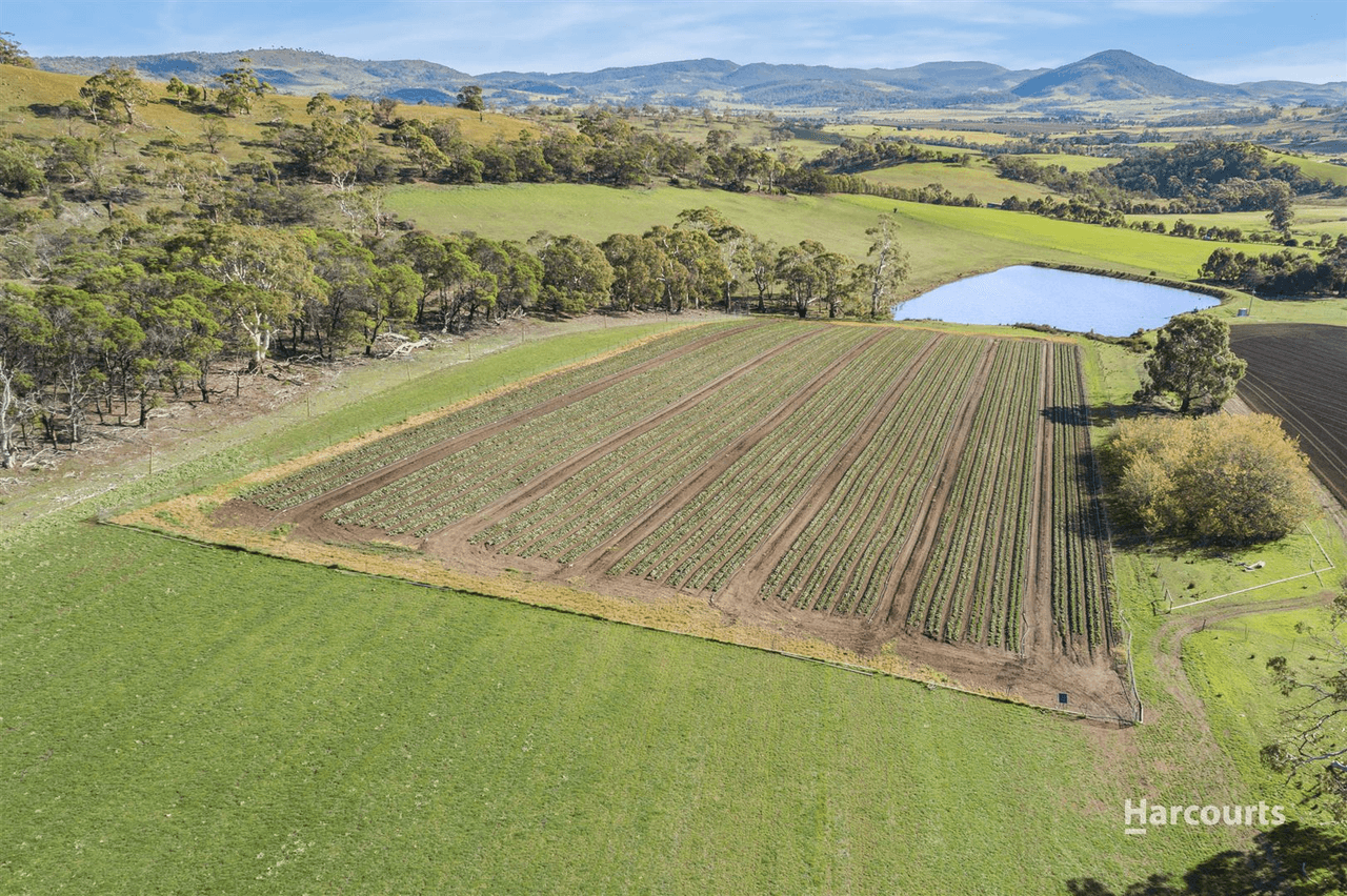 440 Prossers Road, Richmond, TAS 7025