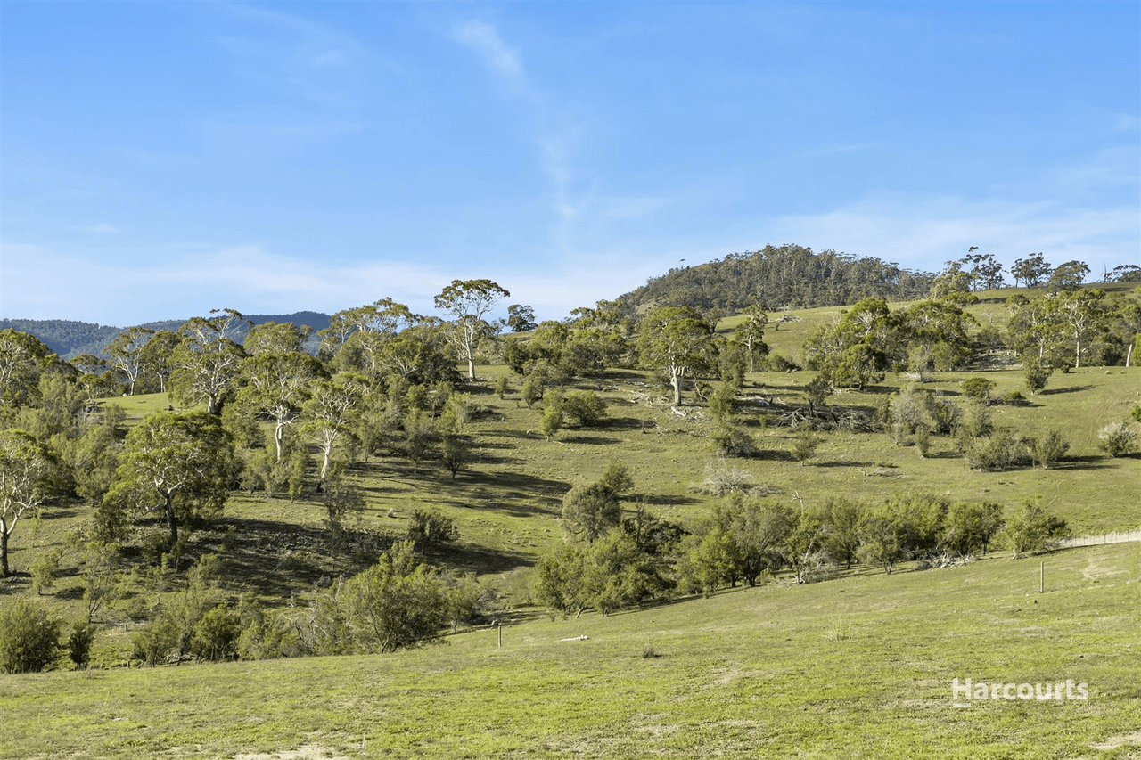 440 Prossers Road, Richmond, TAS 7025