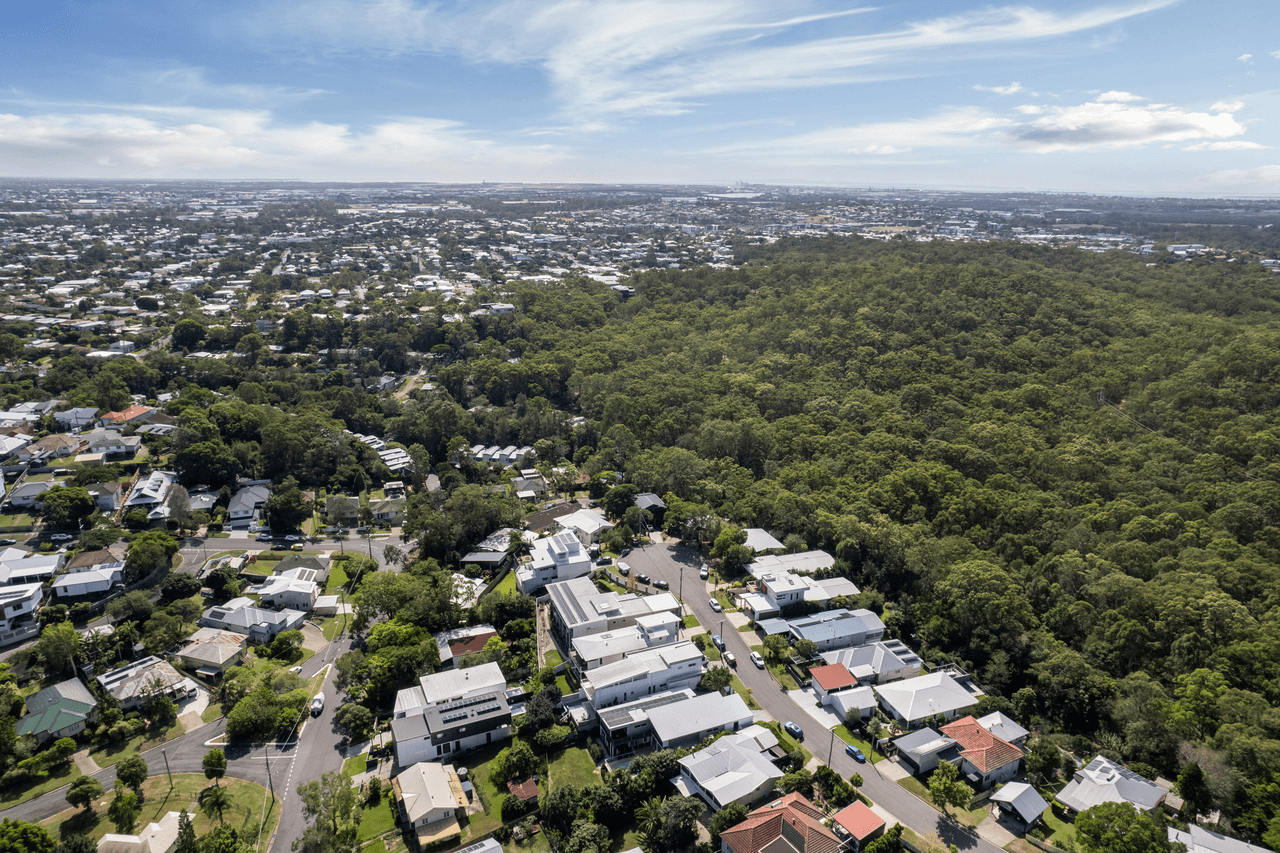 56 Phalerum Avenue, SEVEN HILLS, QLD 4170