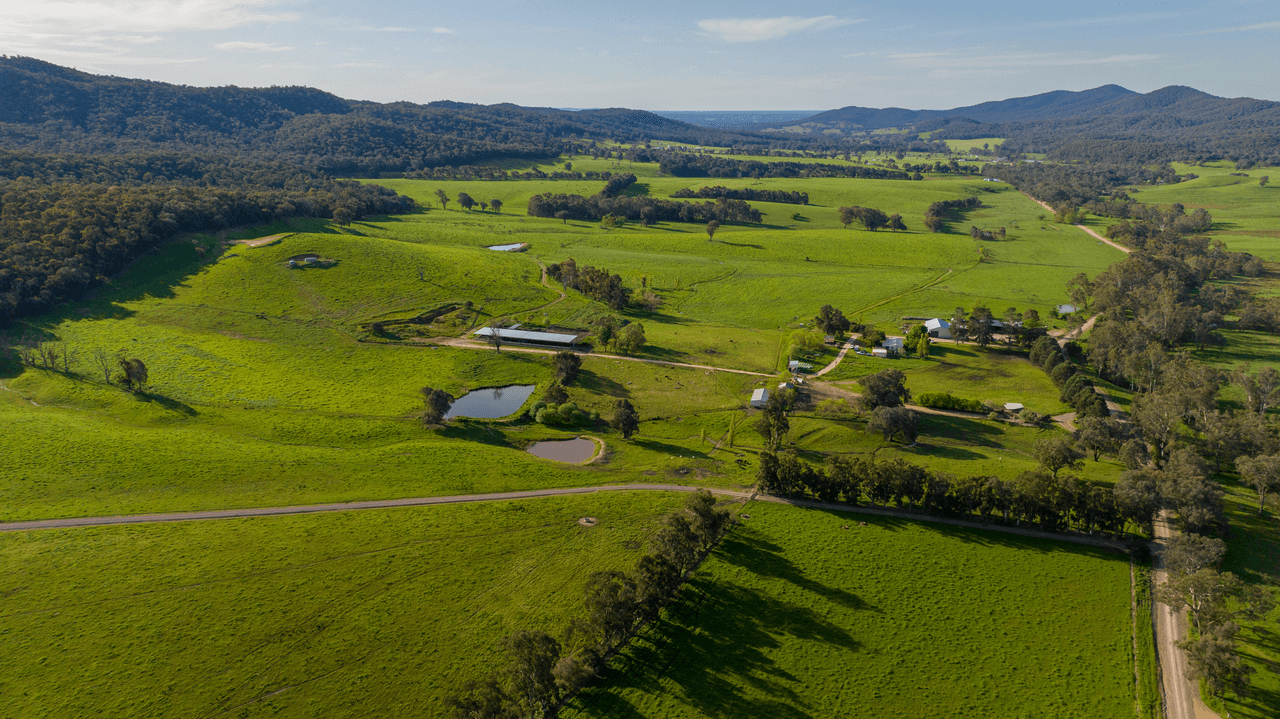 1570 Moyhu-Meadow Creek Road, MEADOW CREEK, VIC 3678