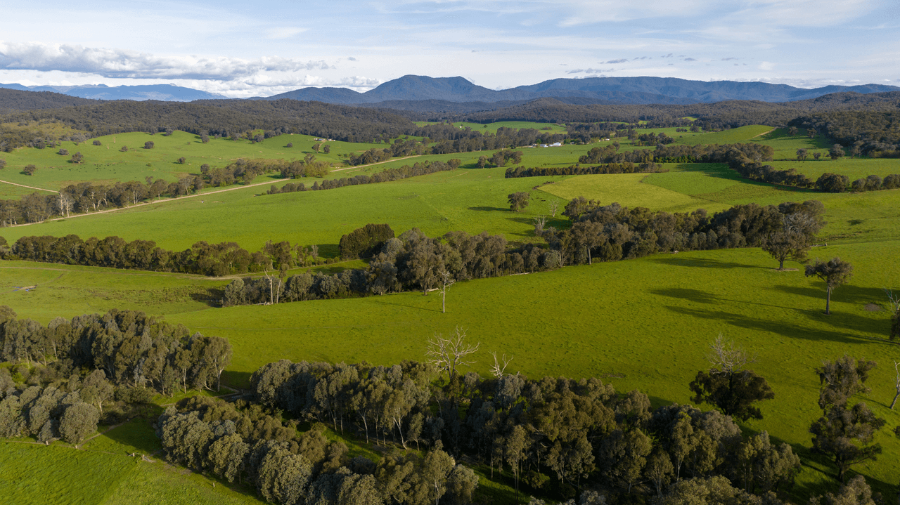 1570 Moyhu-Meadow Creek Road, MEADOW CREEK, VIC 3678