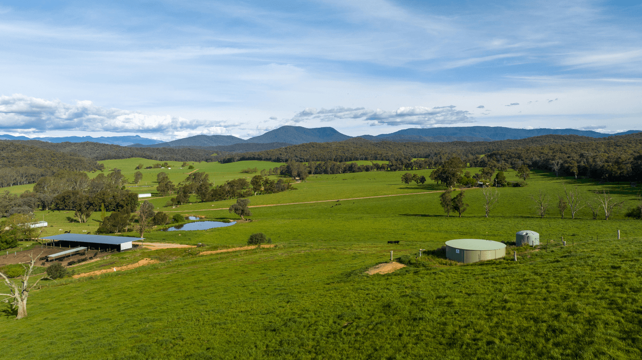 1570 Moyhu-Meadow Creek Road, MEADOW CREEK, VIC 3678