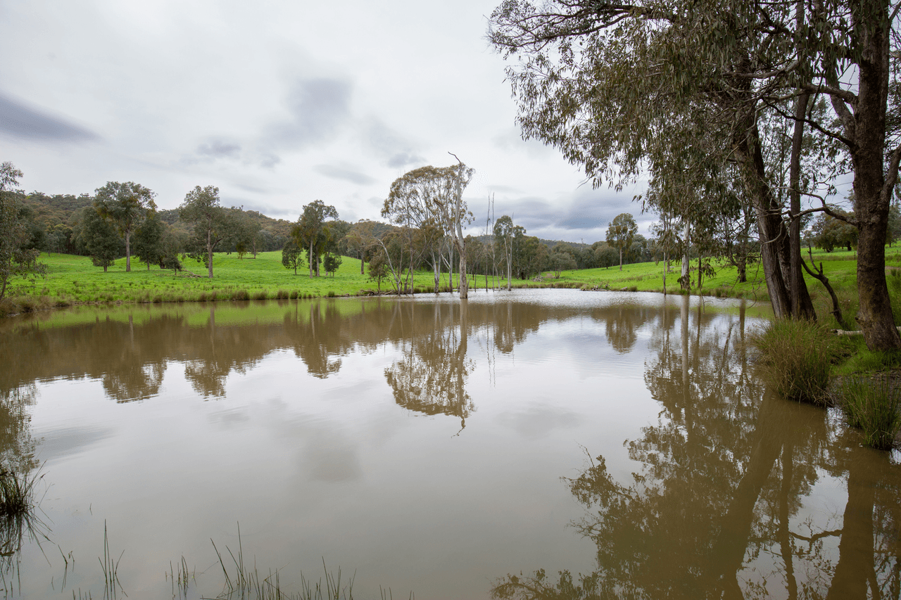 1570 Moyhu-Meadow Creek Road, MEADOW CREEK, VIC 3678