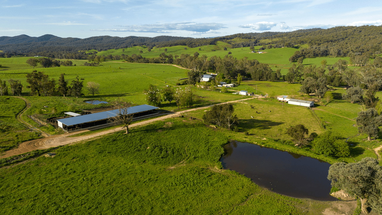 1570 Moyhu-Meadow Creek Road, MEADOW CREEK, VIC 3678