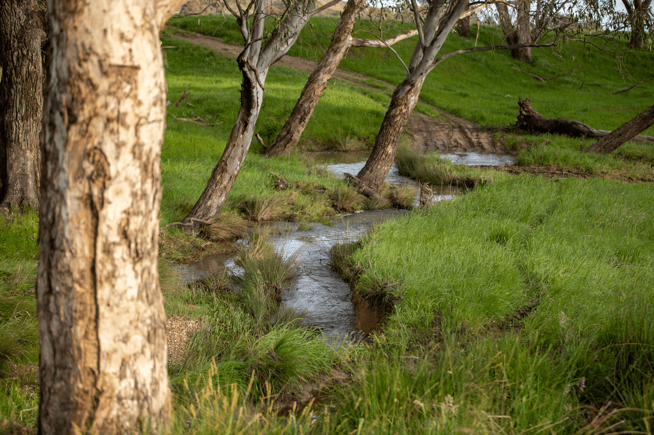 1570 Moyhu-Meadow Creek Road, MEADOW CREEK, VIC 3678