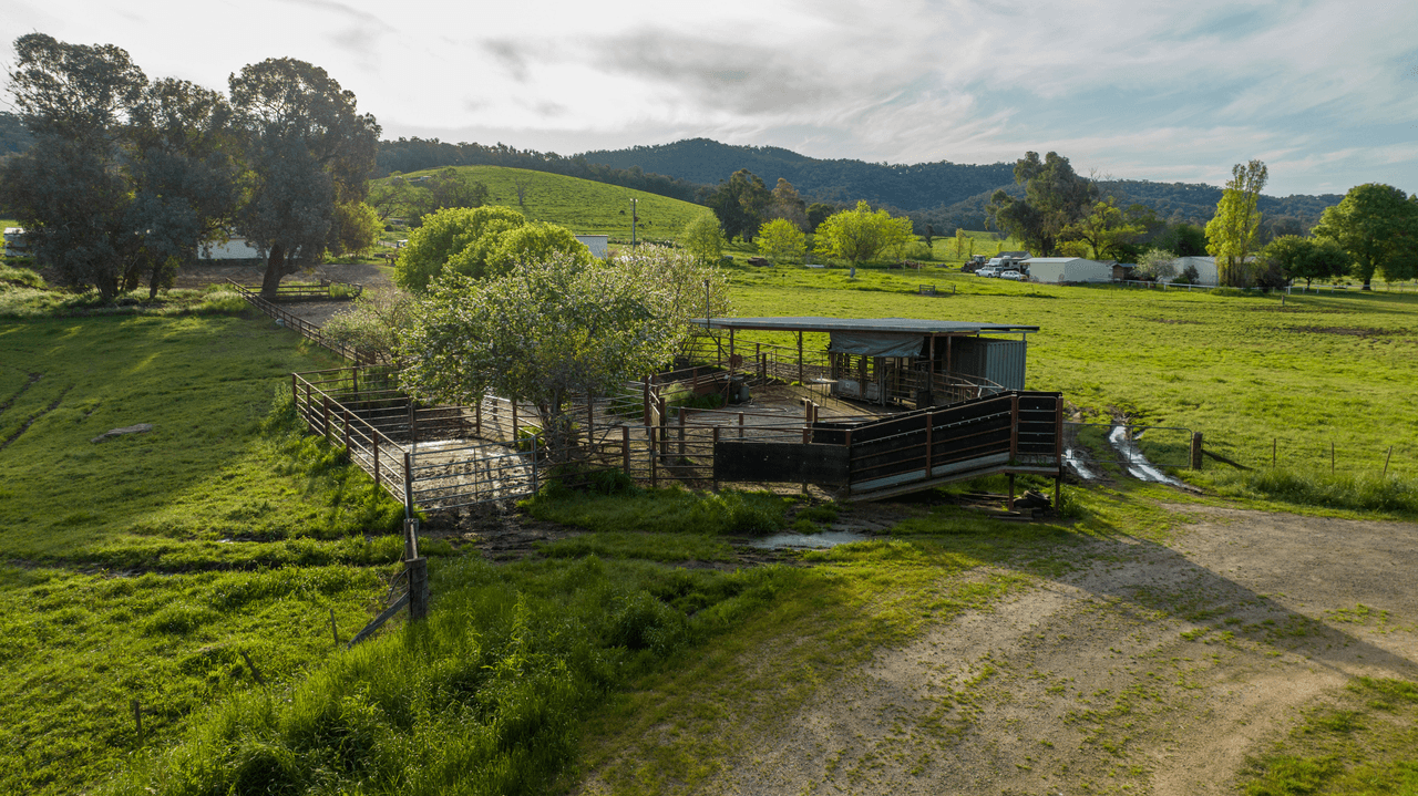 1570 Moyhu-Meadow Creek Road, MEADOW CREEK, VIC 3678