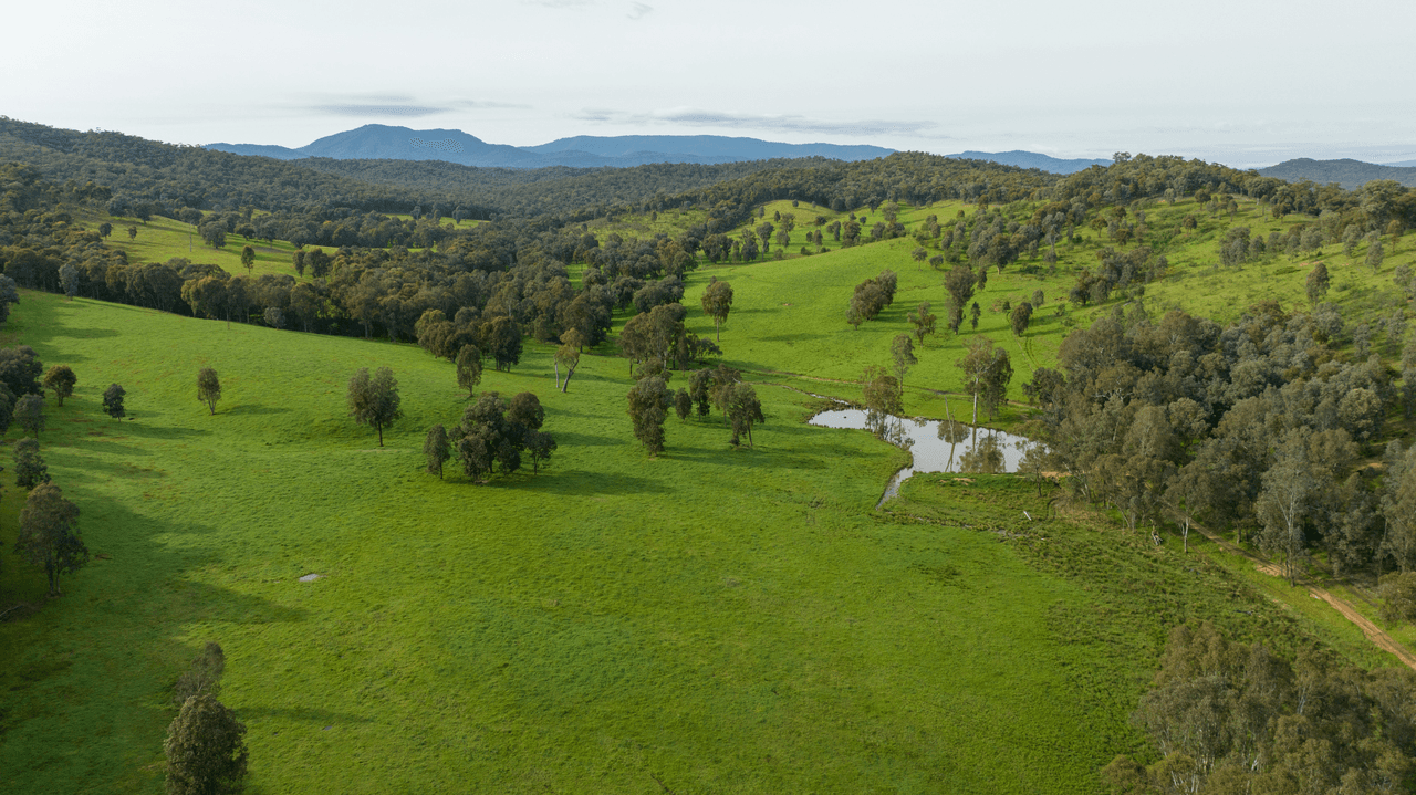 1570 Moyhu-Meadow Creek Road, MEADOW CREEK, VIC 3678