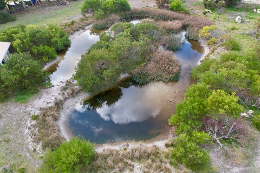 71 Ringwood Drive, BEACHPORT, SA 5280