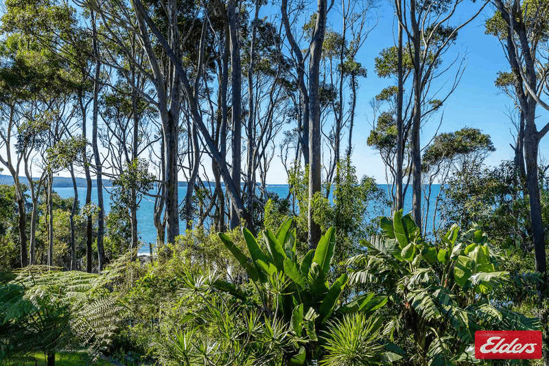 203 Beach Road, DENHAMS BEACH, NSW 2536