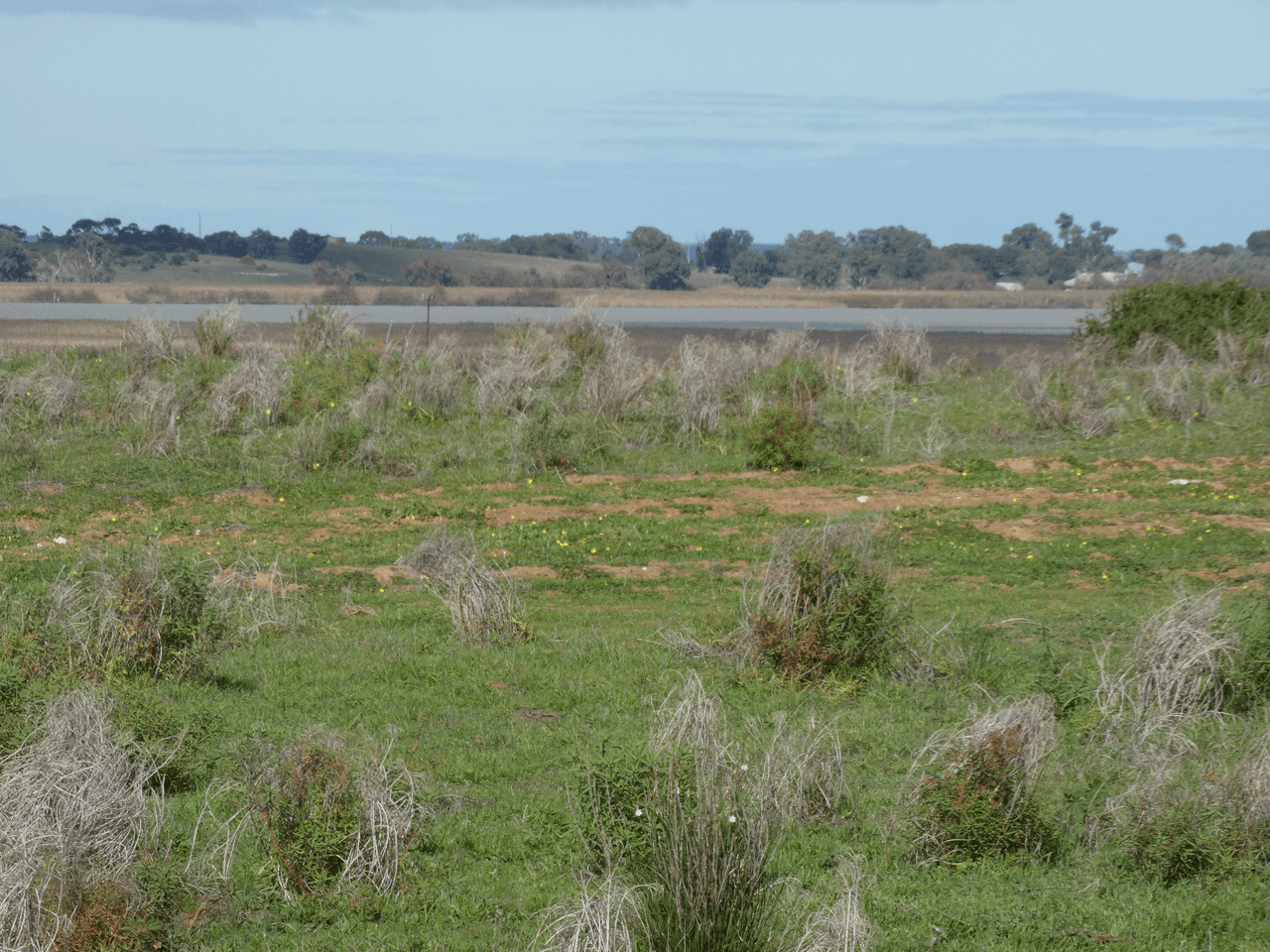 Langhorne Creek Road, WELLINGTON, SA 5259