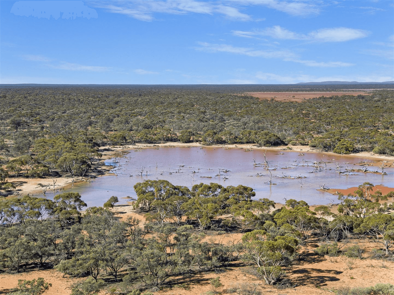 Kondoolka Station Gawler Ranges, Port Augusta North, SA 5700