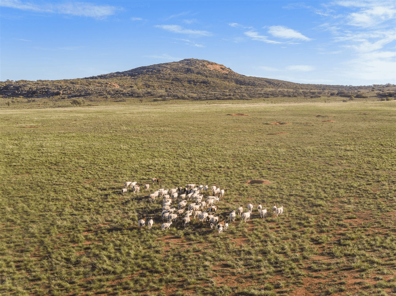 Kondoolka Station Gawler Ranges, Port Augusta North, SA 5700