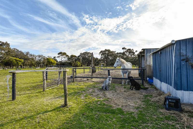 11426 Southern Ports Highway, MILLICENT, SA 5280