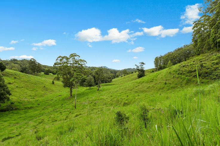 6 Ringtail Road, STOKERS SIDING, NSW 2484