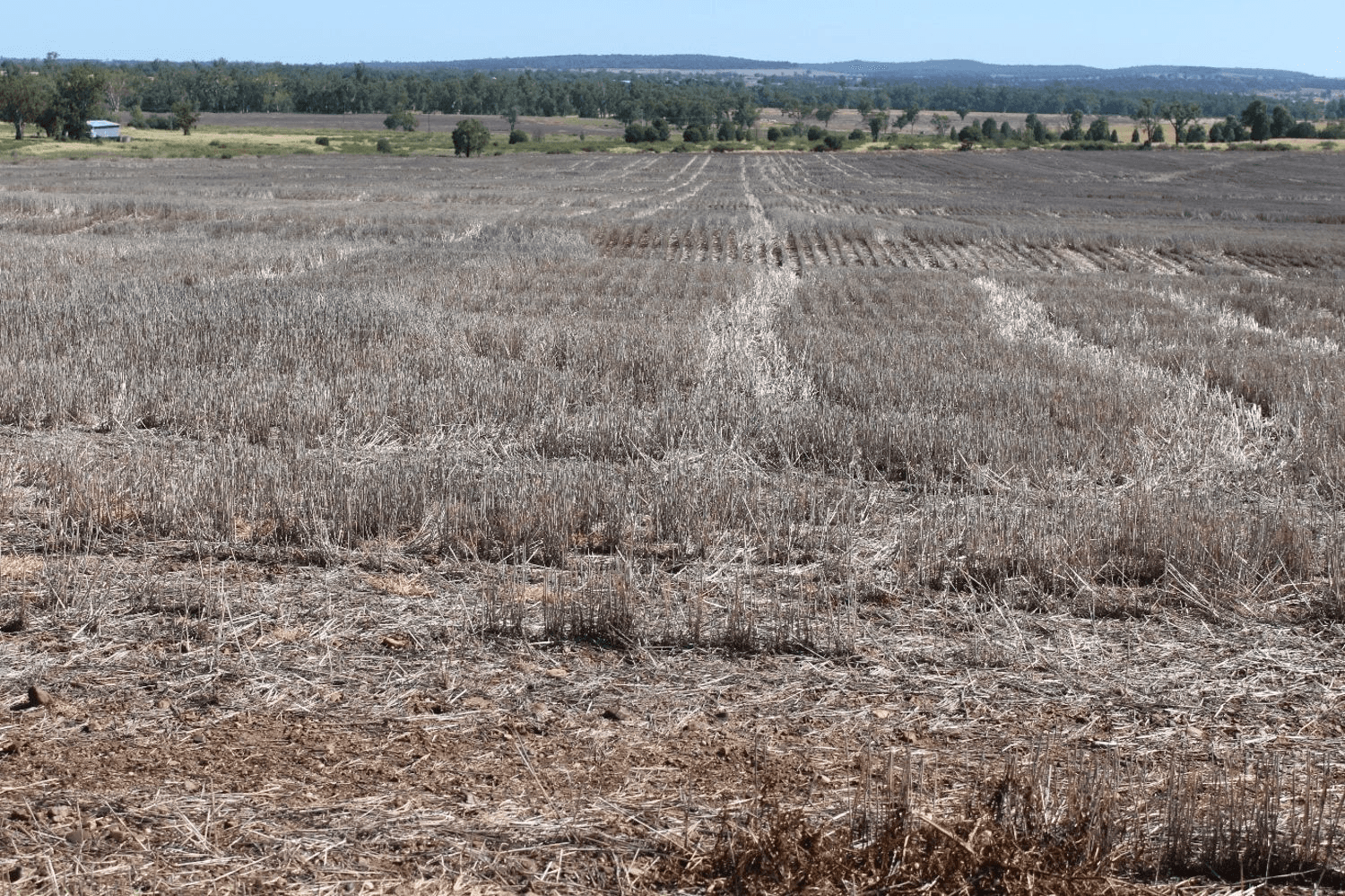 Yagobie, MOREE, NSW 2400