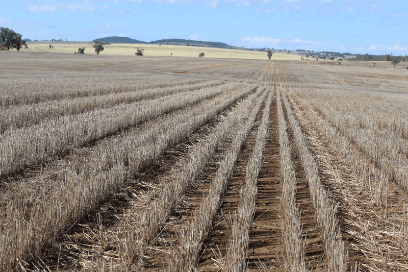 Yagobie, MOREE, NSW 2400