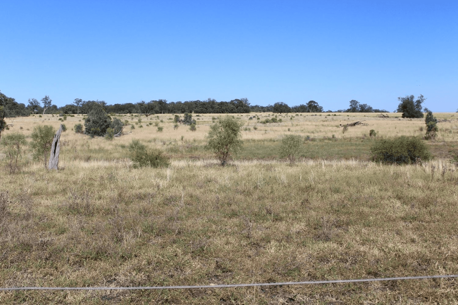 Yagobie, MOREE, NSW 2400