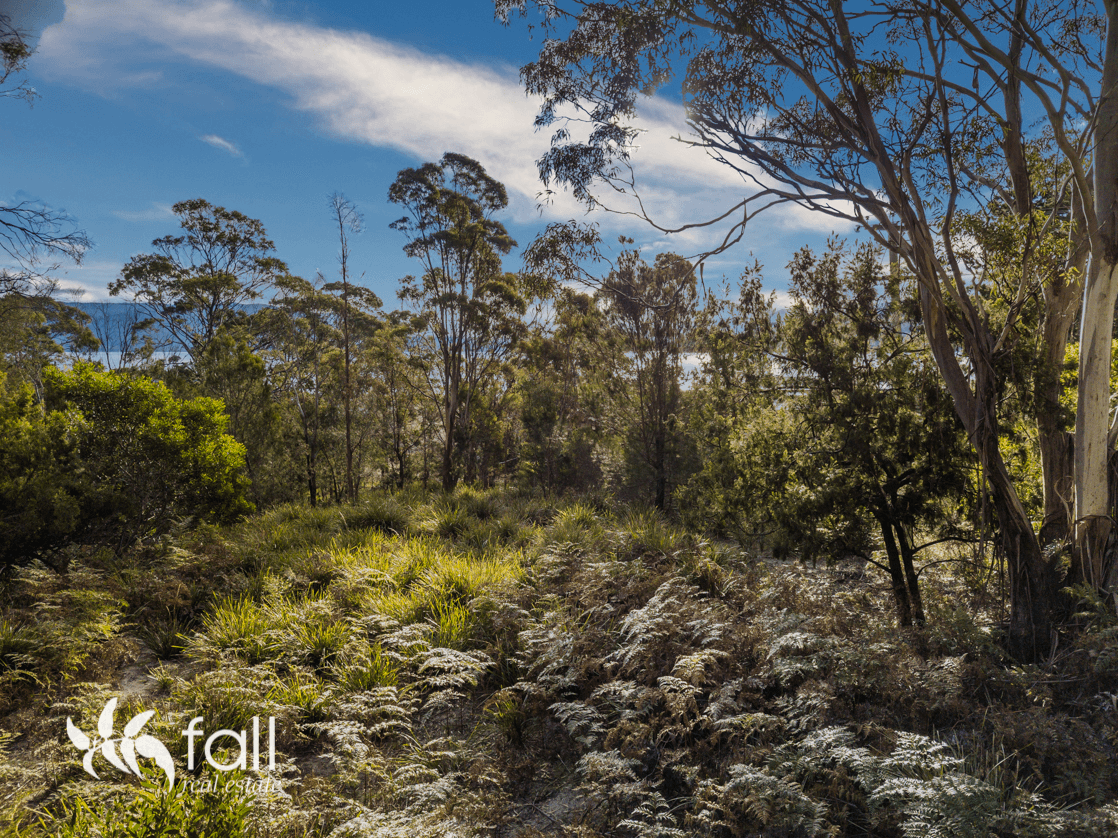 4 Cox Drive, DENNES POINT, TAS 7150