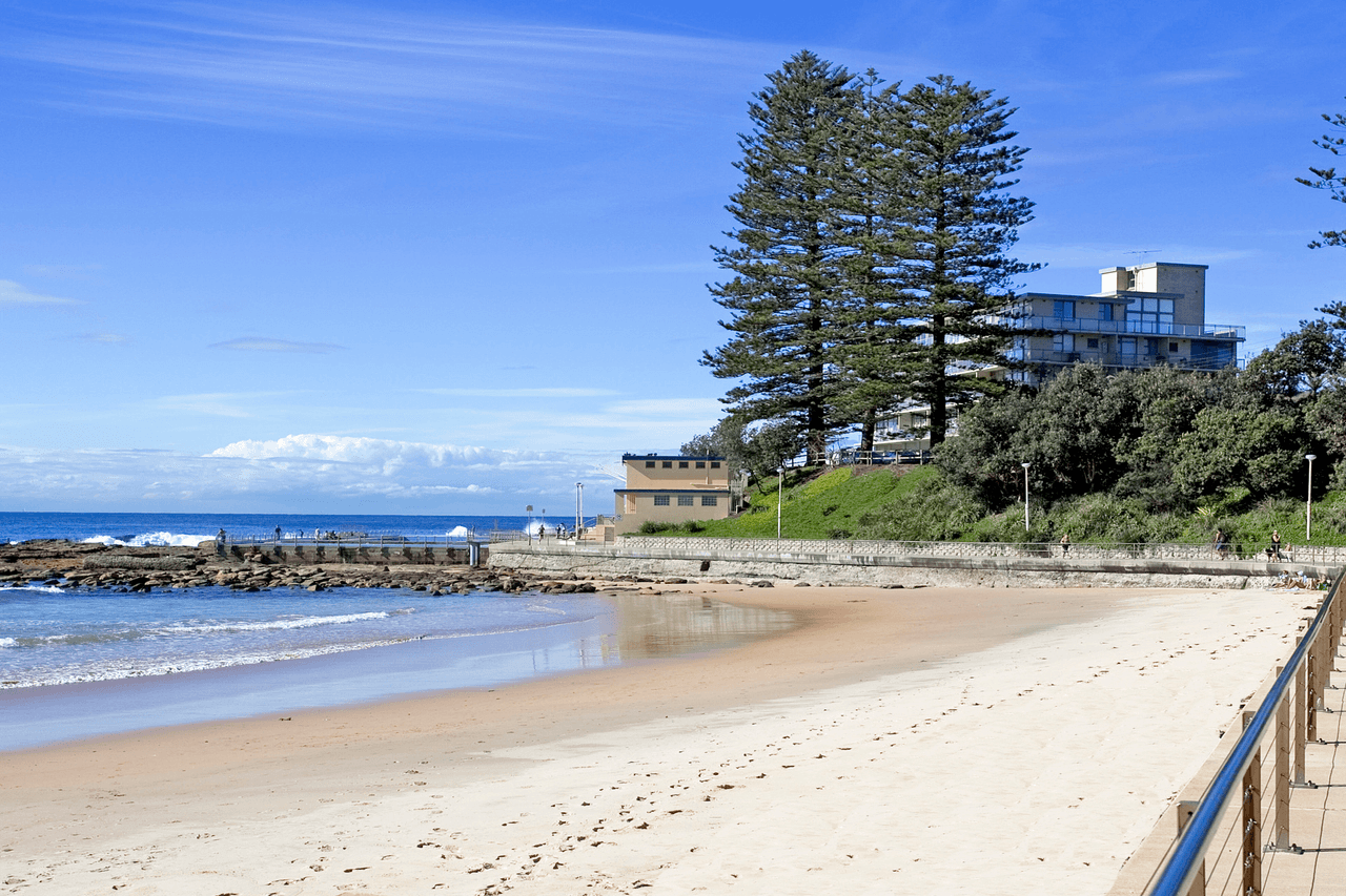 17/105 Pacific Parade, Dee Why, NSW 2099