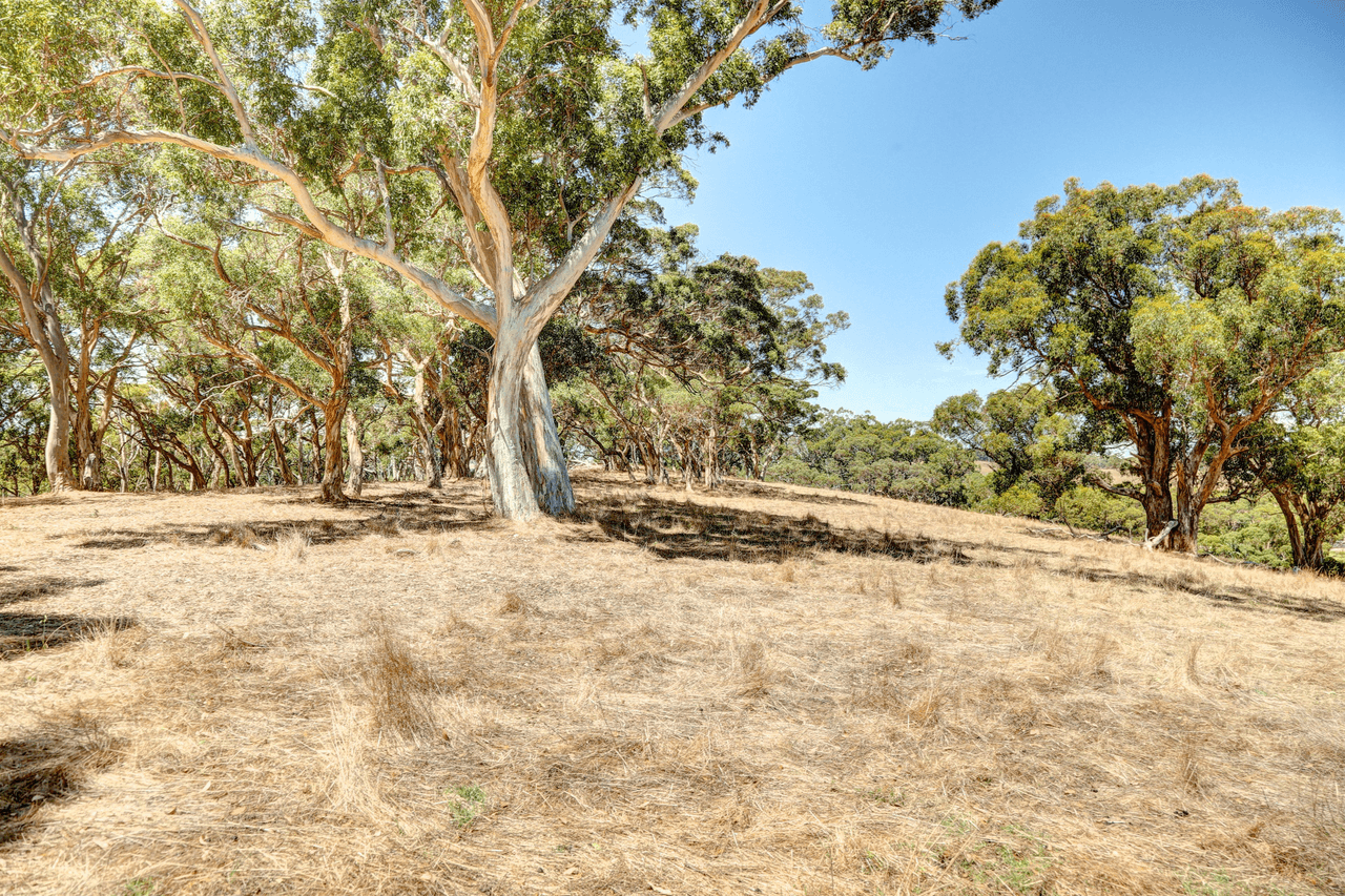 248 Greenhills Road, Meadows, SA 5201