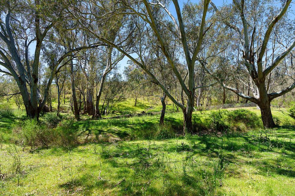 Hylands Lane, Heathcote, VIC 3523