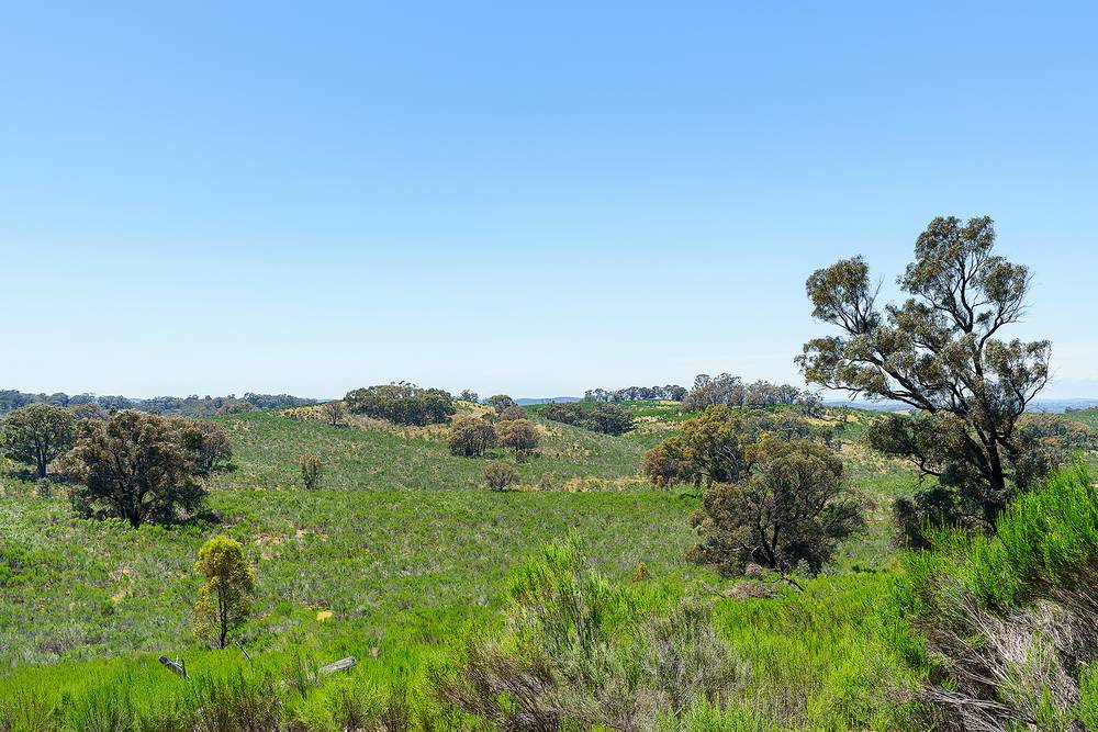 Hylands Lane, Heathcote, VIC 3523