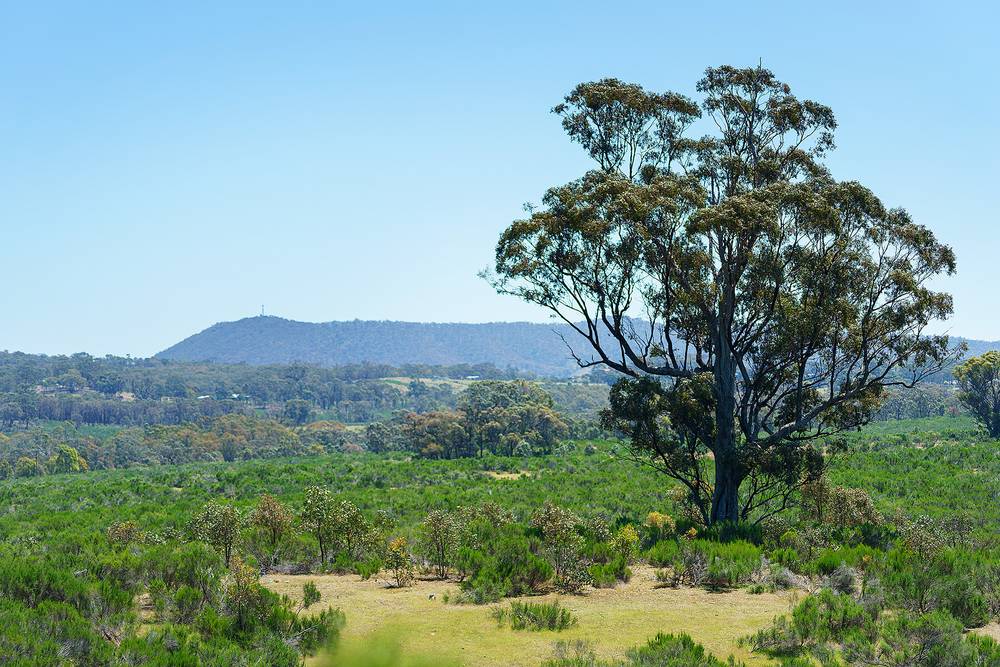 Hylands Lane, Heathcote, VIC 3523