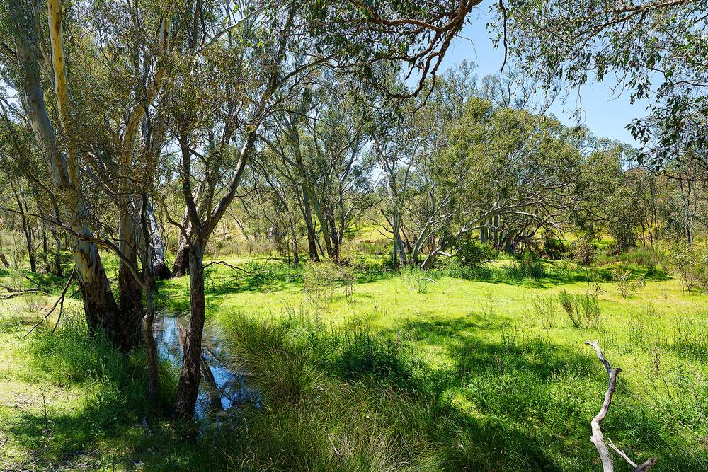 Hylands Lane, Heathcote, VIC 3523