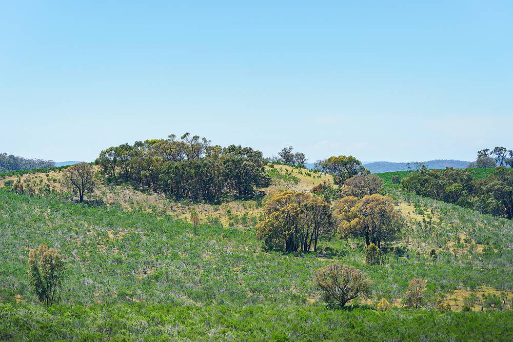 Hylands Lane, Heathcote, VIC 3523