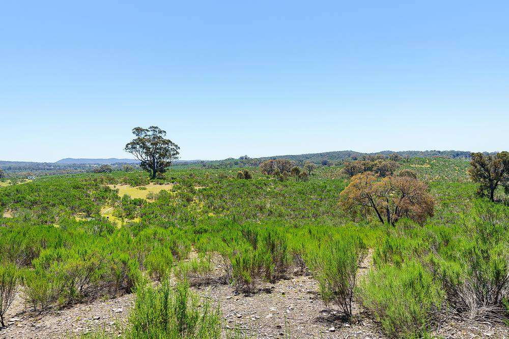 Hylands Lane, Heathcote, VIC 3523