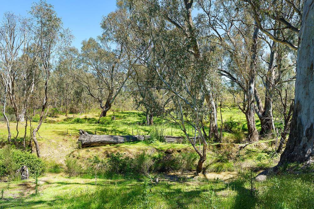 Hylands Lane, Heathcote, VIC 3523
