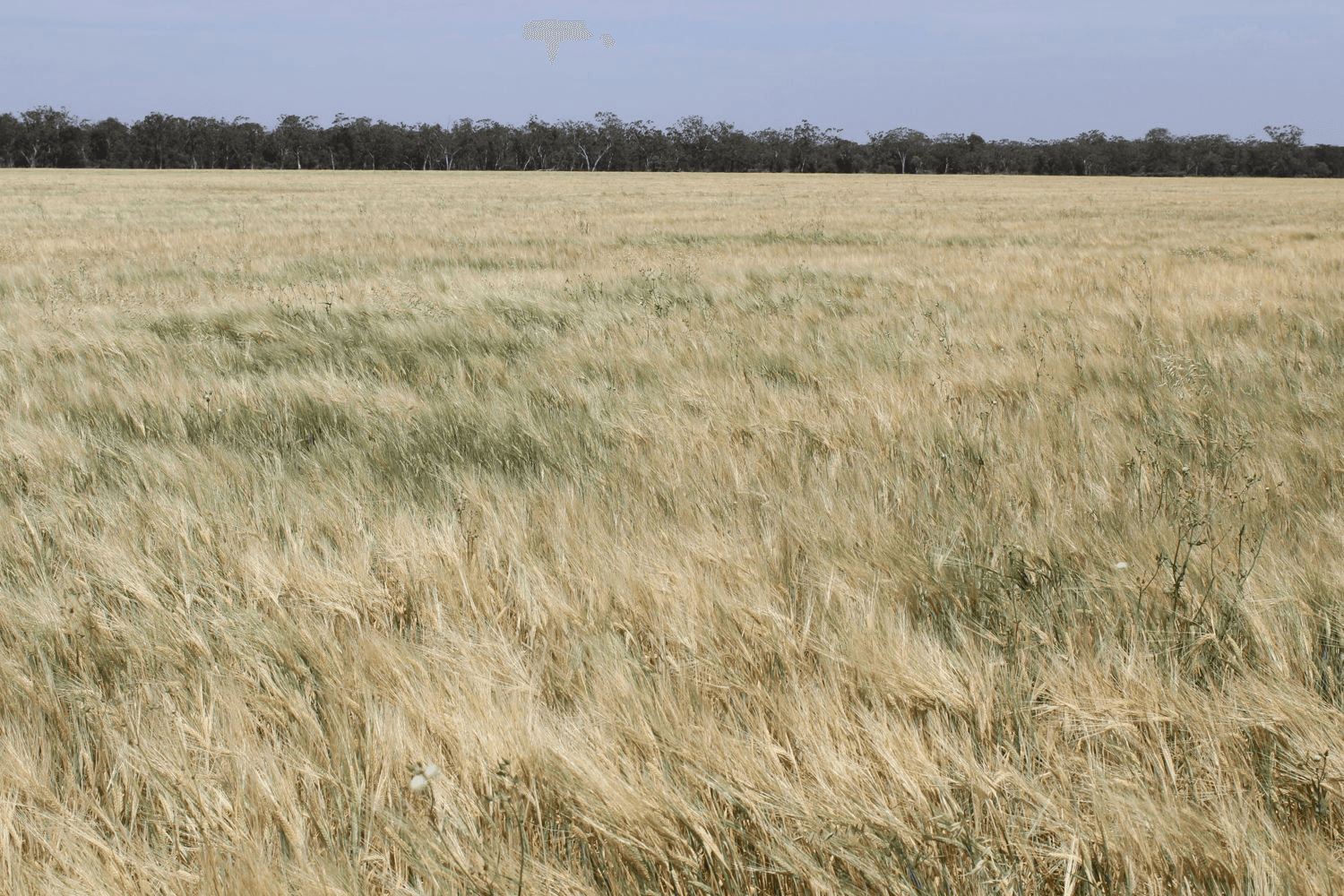 "Colarado", CROPPA CREEK, NSW 2411
