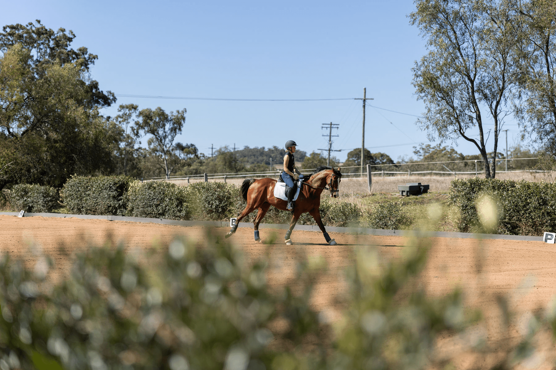 261 Darling Street, DRAYTON, QLD 4350