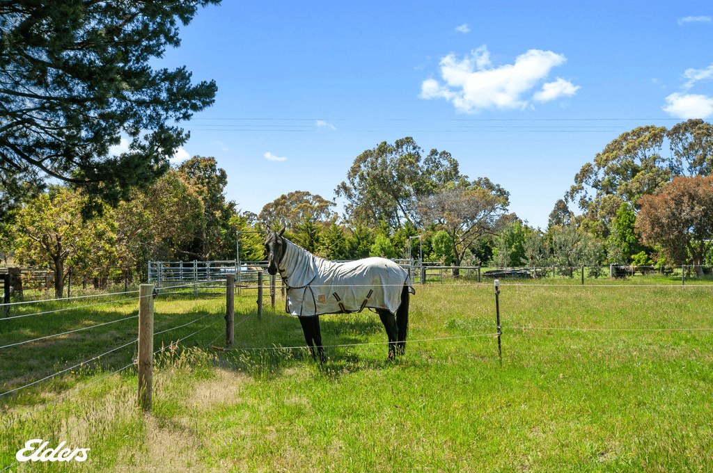 293 SOUTH GIPPSLAND Highway, YARRAM, VIC 3971