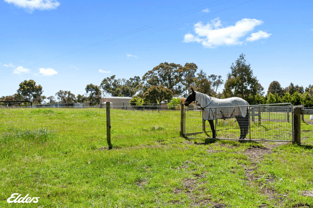 293 SOUTH GIPPSLAND Highway, YARRAM, VIC 3971